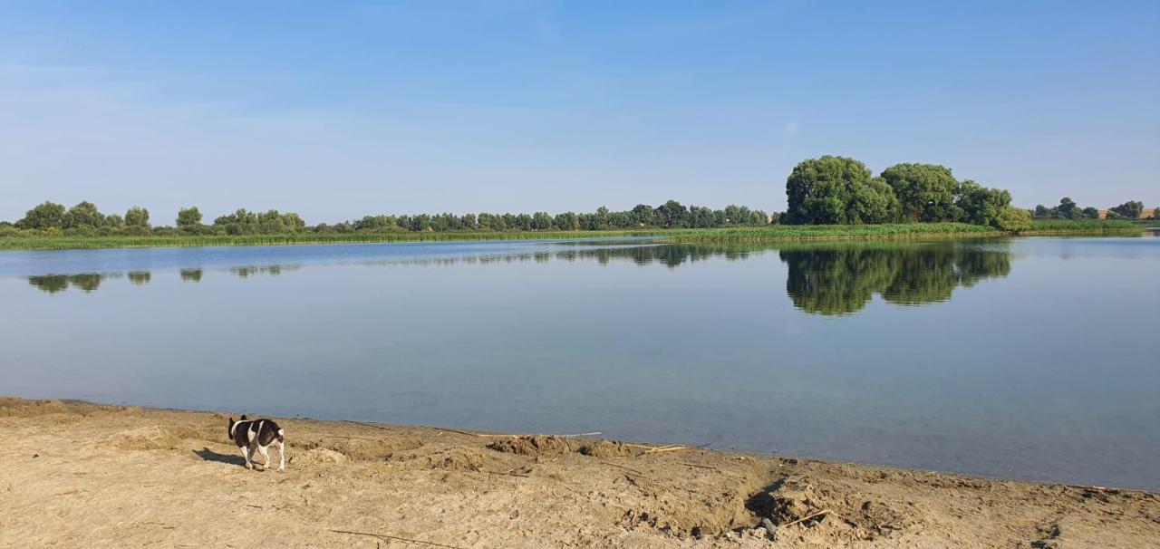 Haus An Der Pferdekoppel Am Blankenburger See Blankenburg  Eksteriør bilde