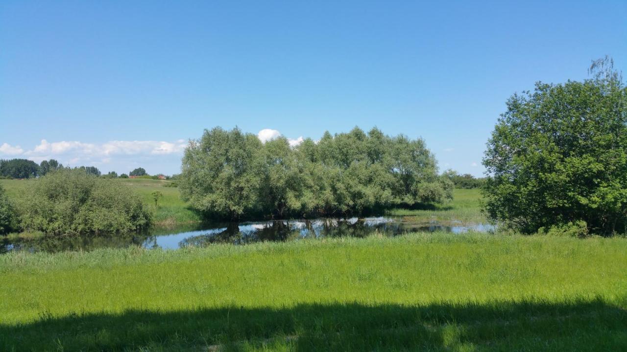 Haus An Der Pferdekoppel Am Blankenburger See Blankenburg  Eksteriør bilde