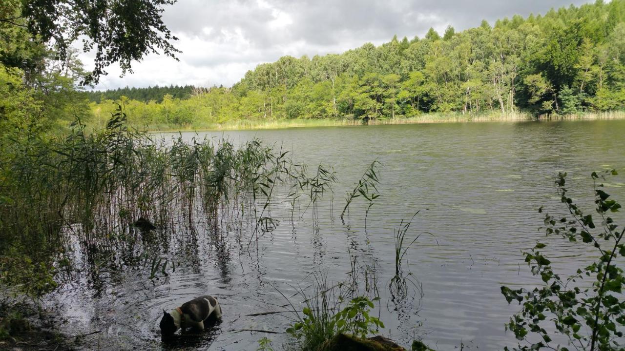 Haus An Der Pferdekoppel Am Blankenburger See Blankenburg  Eksteriør bilde