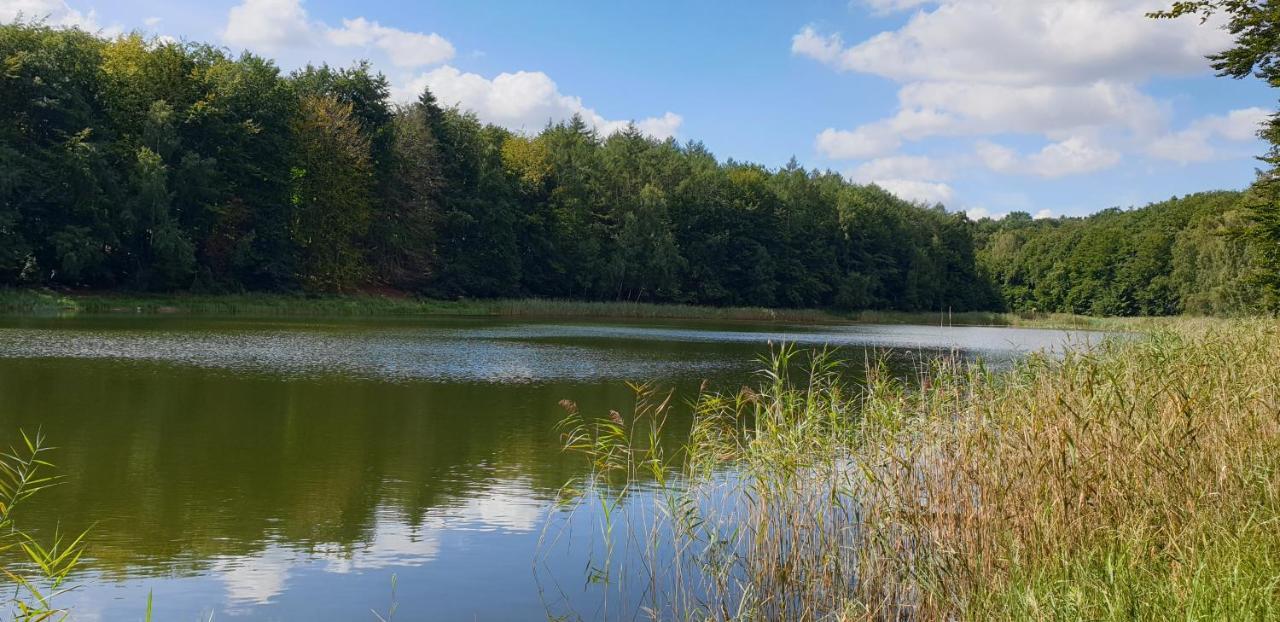 Haus An Der Pferdekoppel Am Blankenburger See Blankenburg  Eksteriør bilde
